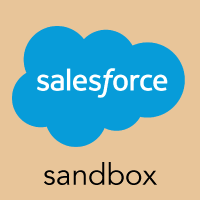 Salesforce sandbox