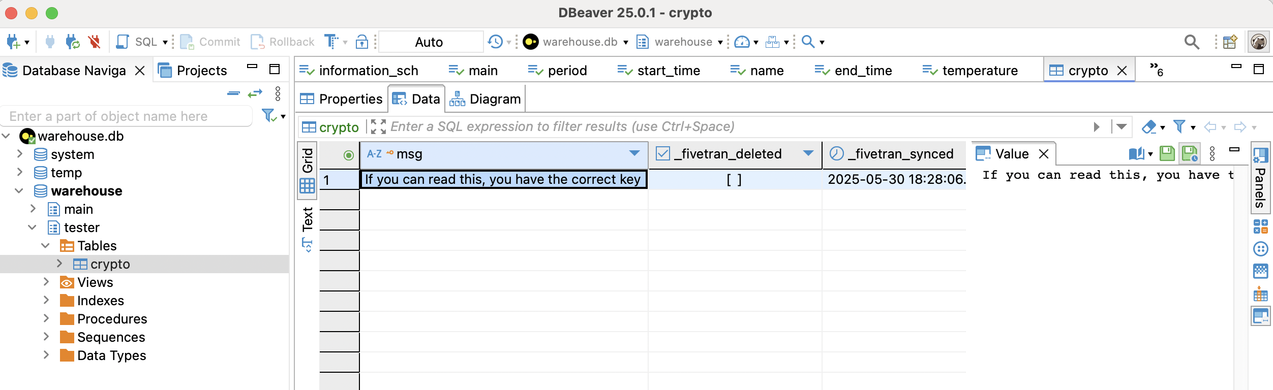 Preview decrypted message in DBeaver