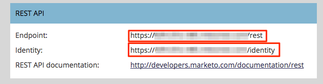 REST API section showing Endpoint and Identity values