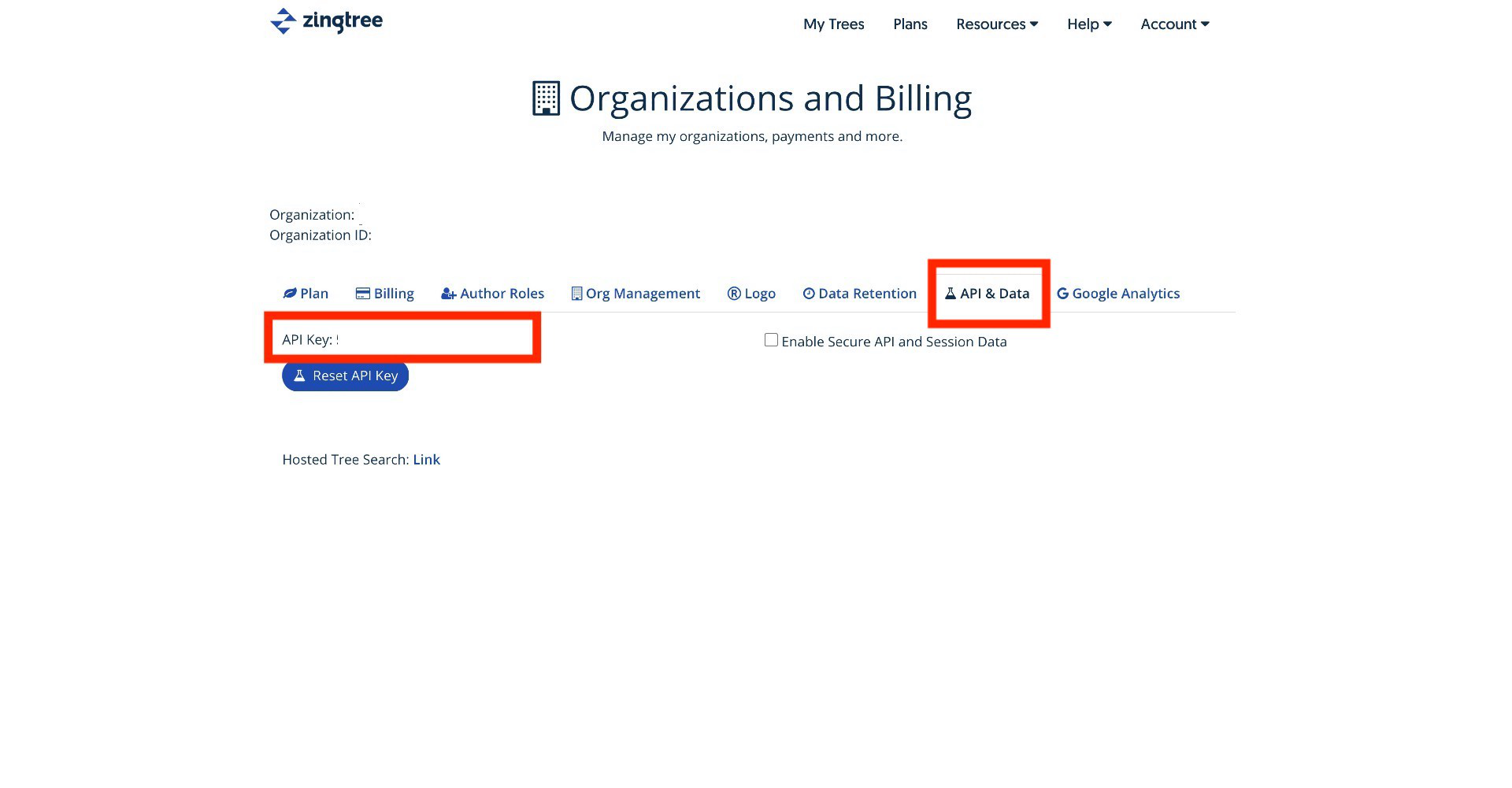 API and Data tab